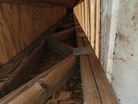 1000012918